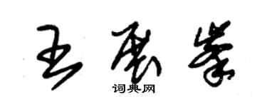 朱錫榮王展峰草書個性簽名怎么寫