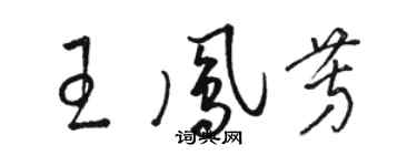 駱恆光王鳳芳草書個性簽名怎么寫