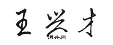 駱恆光王興才行書個性簽名怎么寫