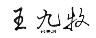 駱恆光王九牧行書個性簽名怎么寫