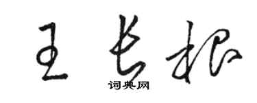 駱恆光王長根草書個性簽名怎么寫