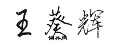 駱恆光王葵輝行書個性簽名怎么寫