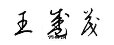 梁錦英王盛茂草書個性簽名怎么寫