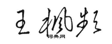 駱恆光王楓頻草書個性簽名怎么寫