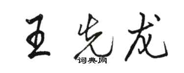 駱恆光王先龍行書個性簽名怎么寫