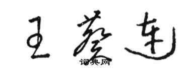 駱恆光王葵連草書個性簽名怎么寫