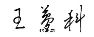 駱恆光王夢科草書個性簽名怎么寫