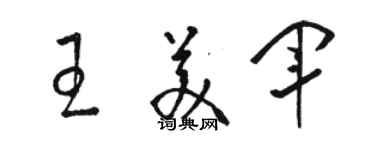 駱恆光王美軍草書個性簽名怎么寫