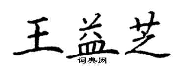 丁謙王益芝楷書個性簽名怎么寫