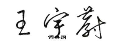 駱恆光王宇蔚草書個性簽名怎么寫