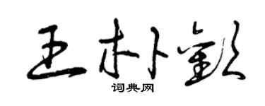 曾慶福王朴歡草書個性簽名怎么寫