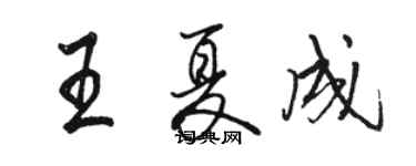 駱恆光王夏成行書個性簽名怎么寫