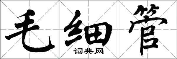 翁闓運毛細管楷書怎么寫