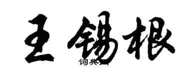 胡問遂王錫根行書個性簽名怎么寫