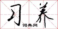 習武的意思_習武的解釋_國語詞典