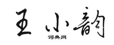 駱恆光王小韻行書個性簽名怎么寫