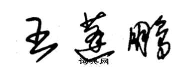 朱錫榮王蓬鵬草書個性簽名怎么寫