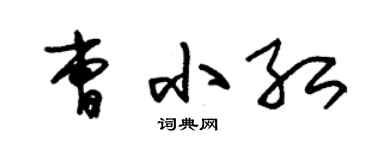 朱錫榮曹小紅草書個性簽名怎么寫