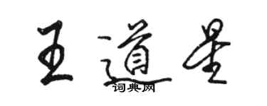 駱恆光王道星行書個性簽名怎么寫