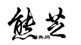 胡問遂熊芝行書個性簽名怎么寫