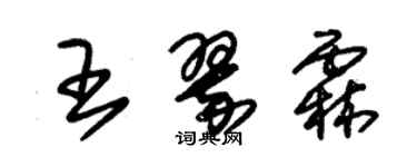 朱錫榮王翠霖草書個性簽名怎么寫