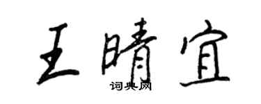 王正良王晴宜行書個性簽名怎么寫