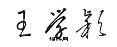 駱恆光王學穎草書個性簽名怎么寫