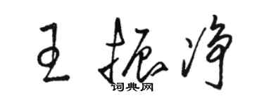 駱恆光王振淨草書個性簽名怎么寫