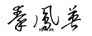駱恆光秦鳳英草書個性簽名怎么寫