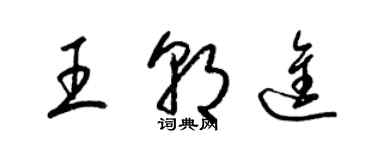 梁錦英王朝進草書個性簽名怎么寫