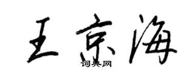 王正良王京海行書個性簽名怎么寫