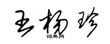 朱錫榮王楊珍草書個性簽名怎么寫