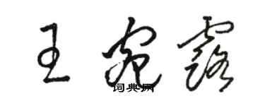 駱恆光王宛露草書個性簽名怎么寫