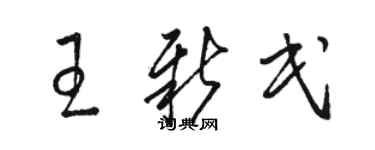 駱恆光王新民草書個性簽名怎么寫