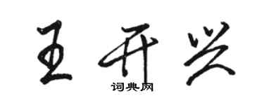 駱恆光王開興行書個性簽名怎么寫