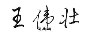 駱恆光王偉壯行書個性簽名怎么寫