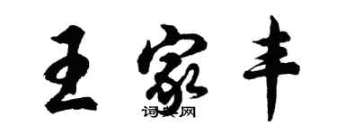 胡問遂王家豐行書個性簽名怎么寫