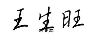 王正良王生旺行書個性簽名怎么寫