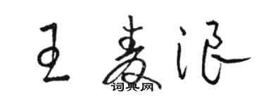 駱恆光王麥浪草書個性簽名怎么寫