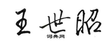 駱恆光王世昭行書個性簽名怎么寫