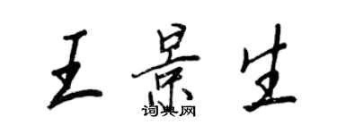 王正良王景生行書個性簽名怎么寫