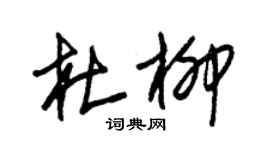 朱錫榮杜柳草書個性簽名怎么寫