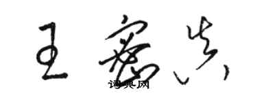 駱恆光王密真草書個性簽名怎么寫