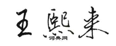 駱恆光王熙來行書個性簽名怎么寫