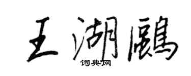王正良王湖鷗行書個性簽名怎么寫
