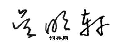 駱恆光吳明軒草書個性簽名怎么寫