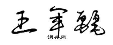 曾慶福王軍麗草書個性簽名怎么寫