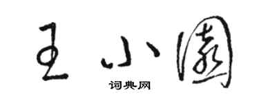 駱恆光王小園草書個性簽名怎么寫