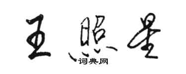 駱恆光王照星行書個性簽名怎么寫