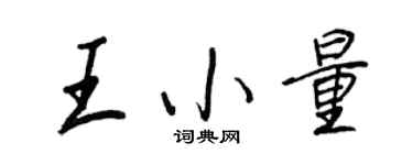 王正良王小量行書個性簽名怎么寫
